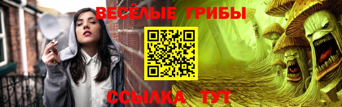 Шелехов  Псилоцибиновые грибы Cubensis  Вход с VPN 